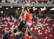 棋牌游戏-英格拉姆的独舞与公牛的群像，当唯一性在集体风暴中熄灭