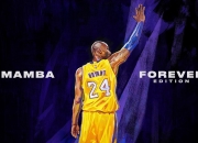 开云棋牌试玩-极夜中的孤星，范弗利特一己之力撕碎骑士，76人横扫之夜见证控卫之神的终极独舞