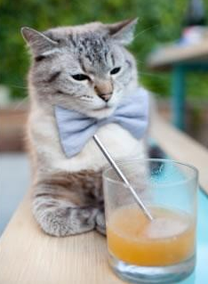 北境铁壁，猛龙窒息式防守如何锁死湖人总决赛之路